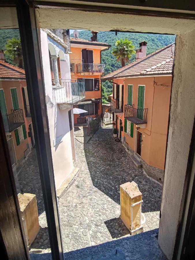 Mo&Ma - Panorama E Relax Apartment Maccagno Екстериор снимка